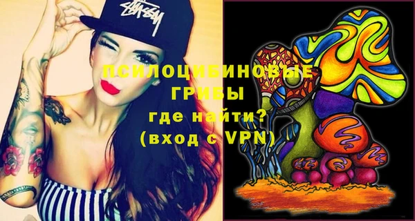 ГАЛЛЮЦИНОГЕННЫЕ ГРИБЫ Козельск