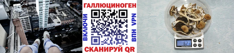 наркота  нарко площадка телеграм  Псилоцибиновые грибы прущие грибы  Конаково 