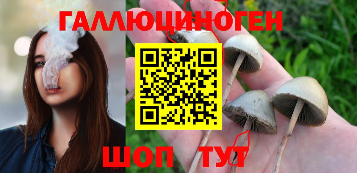 Галлюциногенные грибы мицелий  Псилоцибиновые грибы ЛСД  Вход с VPN  где найти наркотики  Конаково 